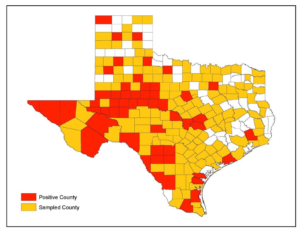 The historic distribution of plague surveillance in Texas is shown in Figure 3.