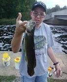 All the reports are about channel catfish, but some years back when I was much younger, I recall anglers catching some big flatheads from the lake.