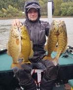 We found big bass stacked up in their normal fall hotspots, catching six to eight smallies at each location! The most productive baits were 3.75 swim baits and Z-Man TRD Crawz.