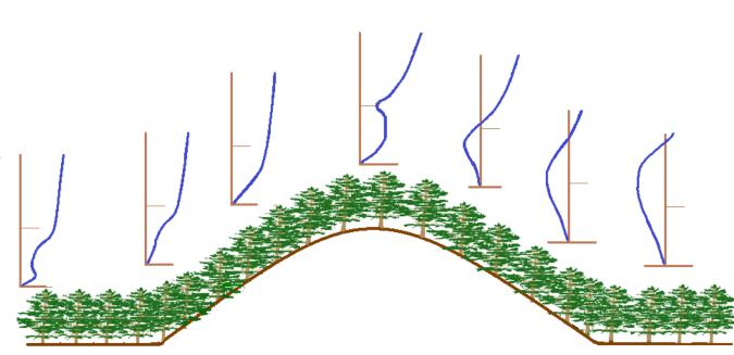 Forested Complex Terrain: Description Sweep motions at the canopy top along the hill. Length scales imposed by a combination of outer layer eddy scale and hill scale pressure perturbations.
