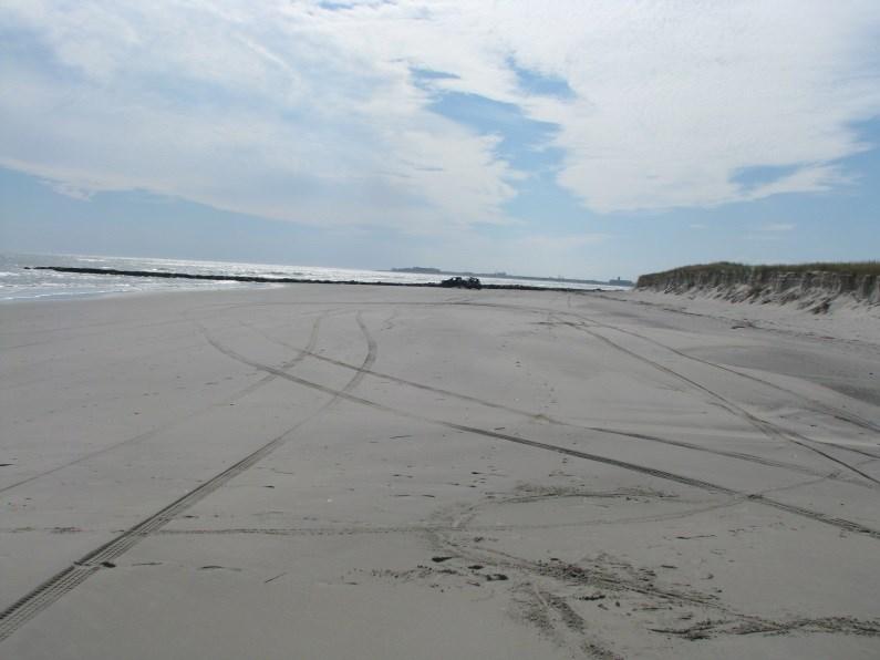 September 12, 2014 (left photo) shows the southern beach flat to the dune toe. The right photo, taken on October 13, 2015, shows near identical conditions. Figure 96.