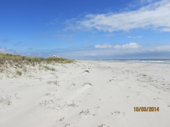 NJBPN 208 Cape May National Wildlife Refuge, Lower Township The left photo was taken October 3, 2014 and is a view across the dunes