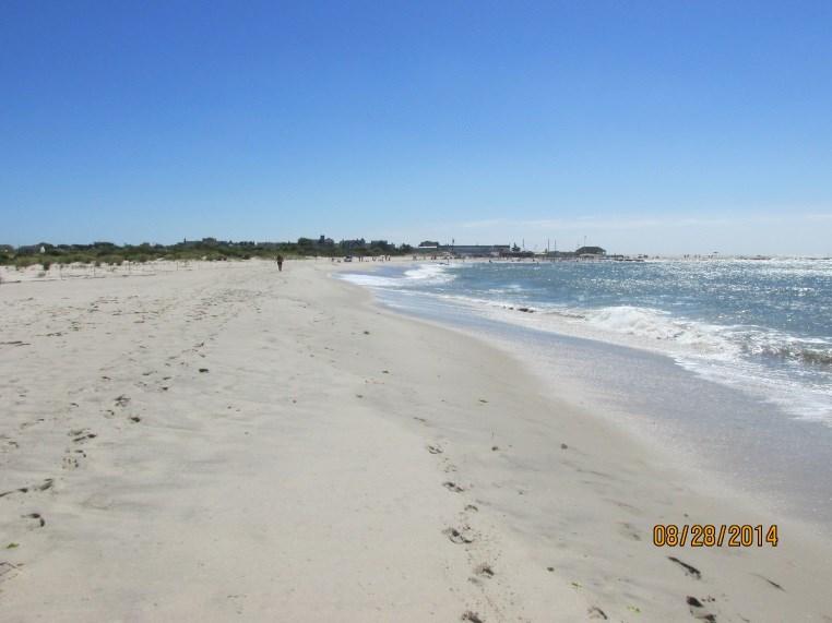 NJBPN 105 - Nature Conservancy, Cape May The left photo was taken August 28, 2014.