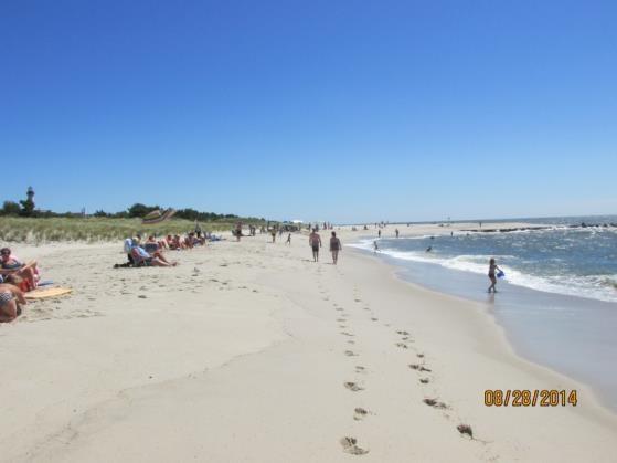 NJBPN 104 - Lake Drive, Cape May Point The left photo was taken on August 28, 2014.