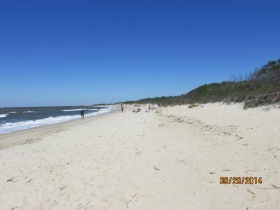 NJBPN 103 - Higbee Beach State Park, Lower Township The left photo was taken August 28, 2014.
