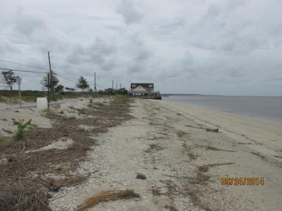 NJBPN 100 - Reeds Beach, Middle Township The left photograph was taken on September 24, 2014.