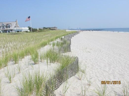34 yds 3 /ft.) occurred between surveys 49 and 50. The summer 2015 gains did not sufficiently rebuild the dry beach to its design width but the dunes remained in good condition.