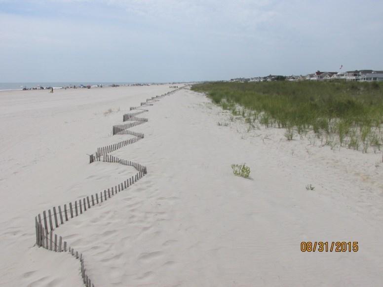 Over the course of 14 months (spring 2014 to fall 2015) the profile gained 16.03 yds 3 /ft. and the shoreline moved seaward 34.0 ft. The dune remained stable as was the berm elevation.
