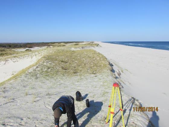 NJBPN 247 North End, Island Beach State Park The left photo (taken November 20, 2014) shows the scarp in the dune system that was generated during Hurricane Sandy.