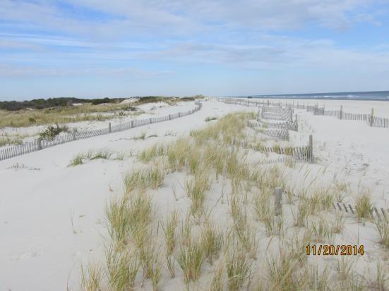 NJBPN 246 Parking Lot A7, Island Beach State Park The photos (left November 20, 2014 and right December 7, 2015) that were taken at this Island Beach State Park location