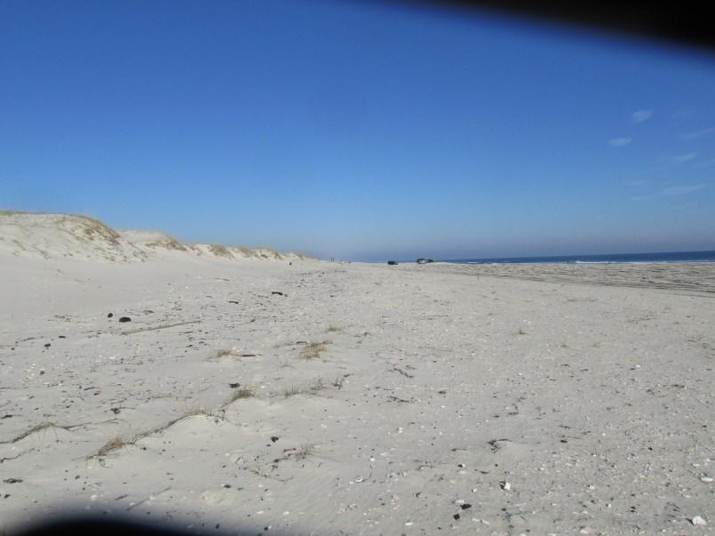 Here, as in the other Island Beach State Park locations, natural recovery of the dune has not restored the dune field to pre-hurricane Sandy conditions. Figure 52.