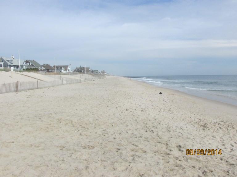 NJBPN 154 Johnson Avenue, Bay Head Both photos (left taken September 29, 2014 and right taken December 14, 2015) show the condition of the berm at the Bay Head location.