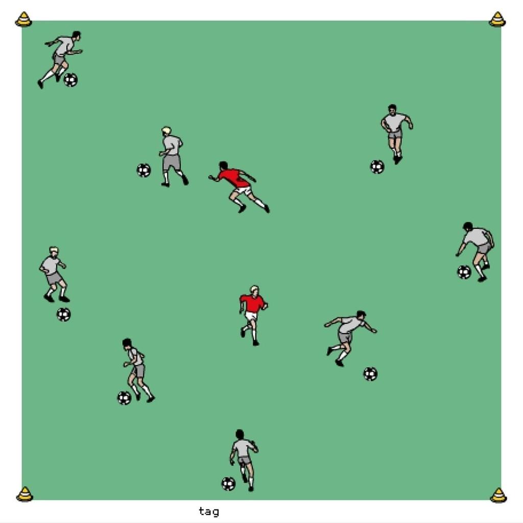 THE ACTIVITY - TAG The coach picks two people who must chase everyone else and tag them. Tagged players can't move until you allow them. The taggers don't have a ball; all others do.