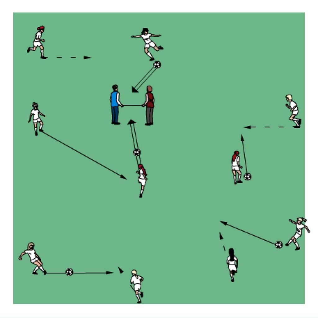 THE ACTIVITY MOVING GOAL The coaches or two soccer buddies hold a foam noodle or rope or corner flag pole to make a crossbar and they move as the goal around the grid.