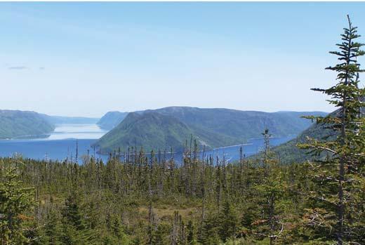 The island of Newfoundland has a temperate climate, similar to that of states of Maine and Massachusetts. Winters are generally mild, with an average temperature of 0 Celsius (32 Fahrenheit).