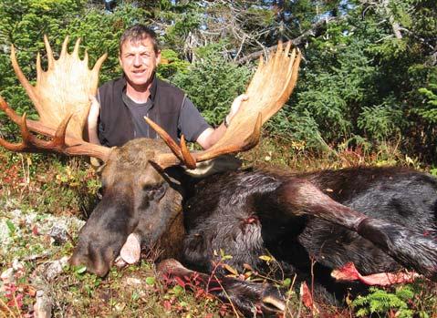 MOOSE hunting Moose Hunting in Newfoundland Canada offers demanding sportsmen the following: A hunting success rate of 90 percent or better each year!