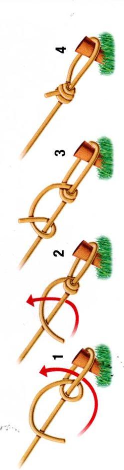 Bowline A bowline is a very useful knot to learn. It makes a fixed loop in a rope that will not slip. The bowline can be used to anchor one end of a rope to a tree or other stationary object.