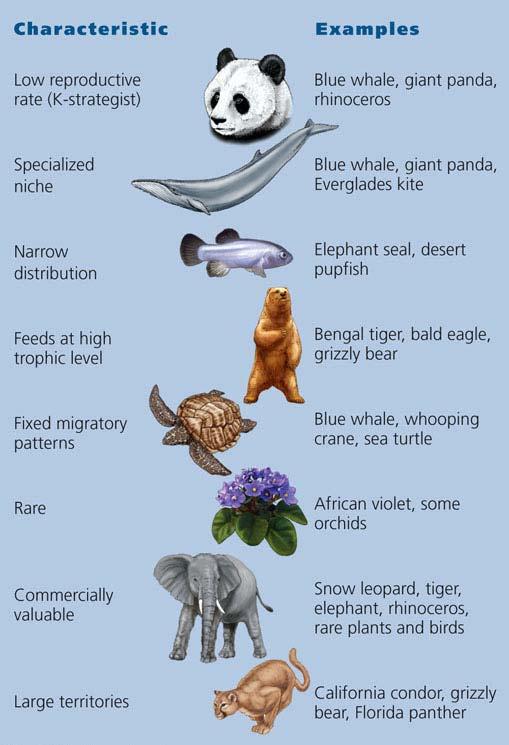 Percentages of various types of species threatened with premature extinction