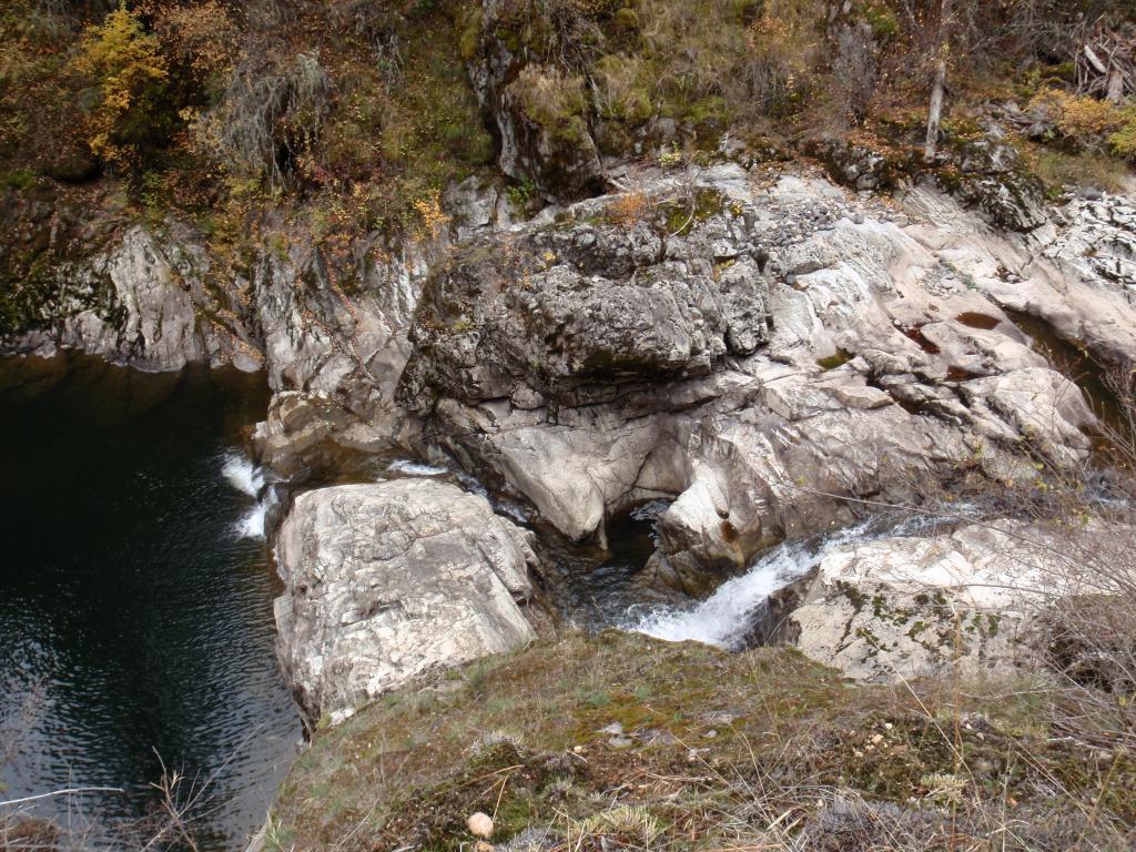 Big Bear Falls Assessment How related are O. mykiss in Big Bear Creek?