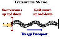 Transverse waves Disturbance is perpendicular to the direction of