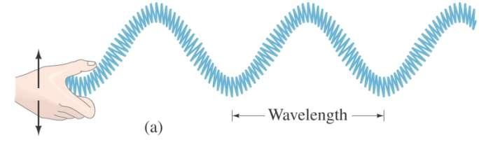 Transverse Waves Transverse wave a wave when the motion of the