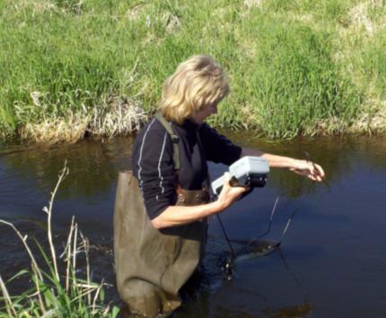Project Background Wisconsin Department of Natural Resources (WDNR) biologists monitor streams on a regular basis for a variety of parameters including: dissolved oxygen, air and water temperature,