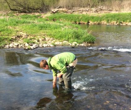 Water quality and habitat assessment are high priority activities that the WDNR undertakes to document and monitor the status and trends of water resources throughout the state.