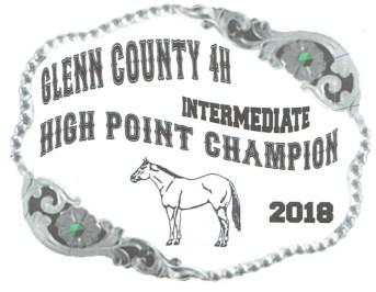 Glenn County Overall High Point awards will be given for the Glenn County rider with the highest combined points earned across all disciplines in each division.