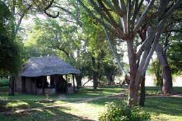 GONAREZHOU IN ZIMBABWE Gonarezhou safari areas are each a part of a 300.