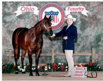 She got her start in 4 H showing young horses in Halter, Showmanship and Western Pleasure and she also began competing as a judge in 4 H at the age of 13 and went on to win at the state and national