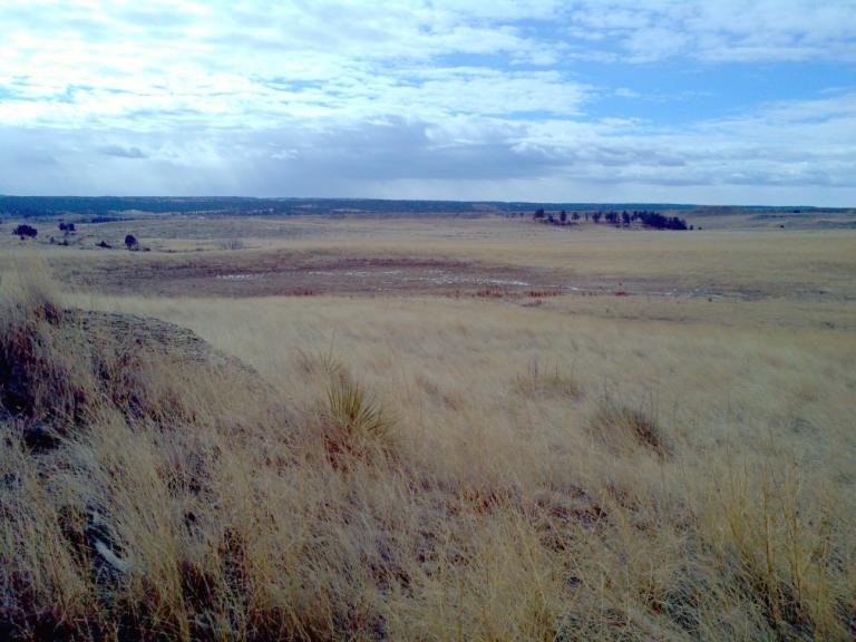 Description: The South Willow Creek Pasture is a nice offering of 2,320 +/- acres just minutes from Roundup, Montana.