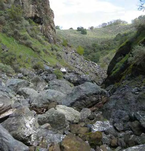 A portion of the Calaveras boulder debris field reach of Calaveras Creek on March 5, 2009 (looking downstream).