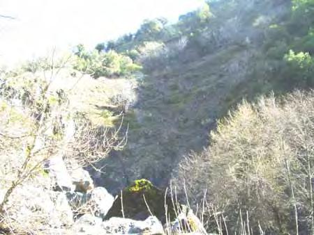 (a) (b) The landslide reach of Arroyo Hondo viewed from downstream on February 3, 2006, (a) with the smaller