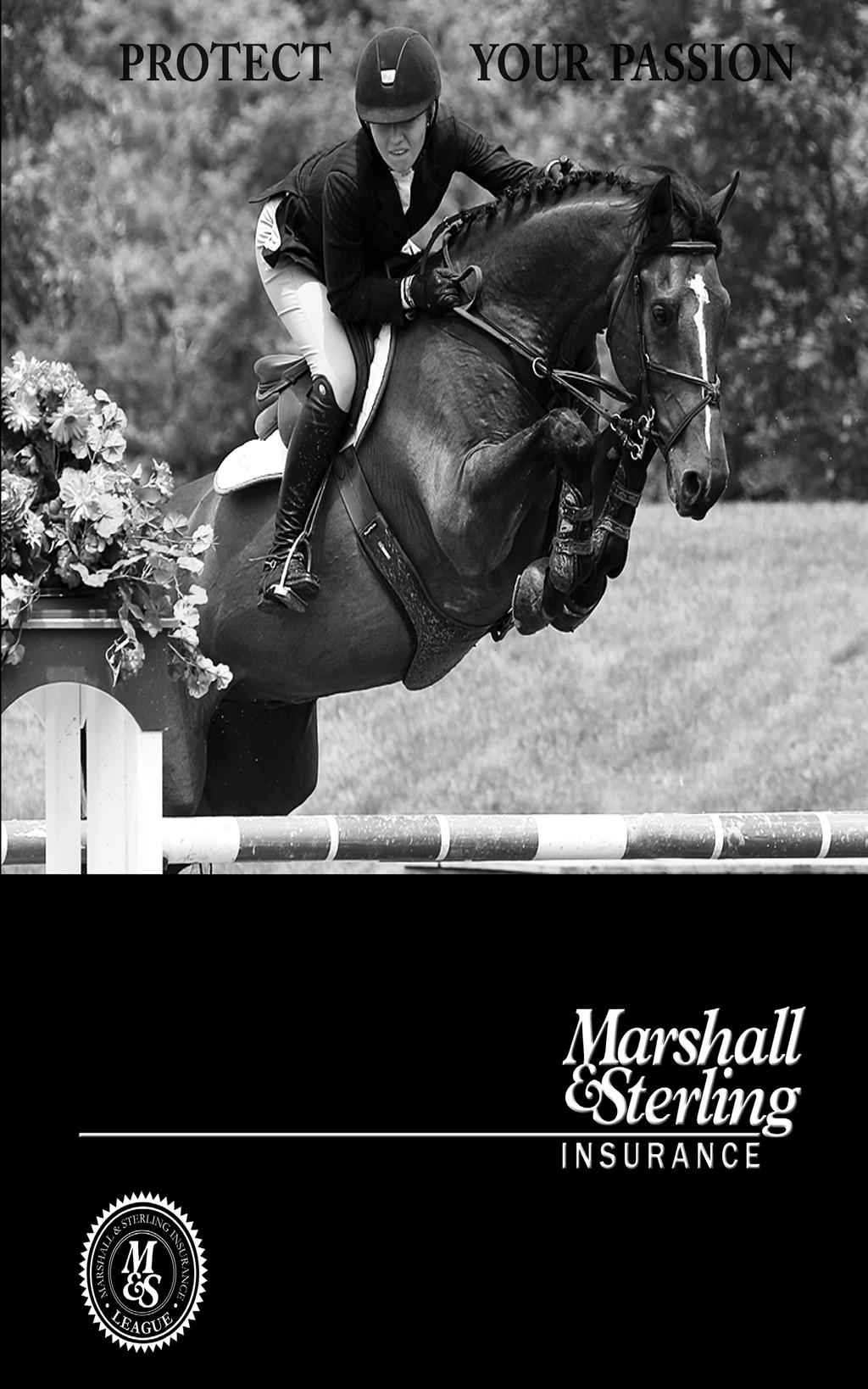 The Marshall & Sterling Insurance League National Finals, and the Midwest Regional Marshall & Sterling Insurance League Finals! WHAT HORSE SHOWS COUNT? WHAT DIVISIONS COUNT?