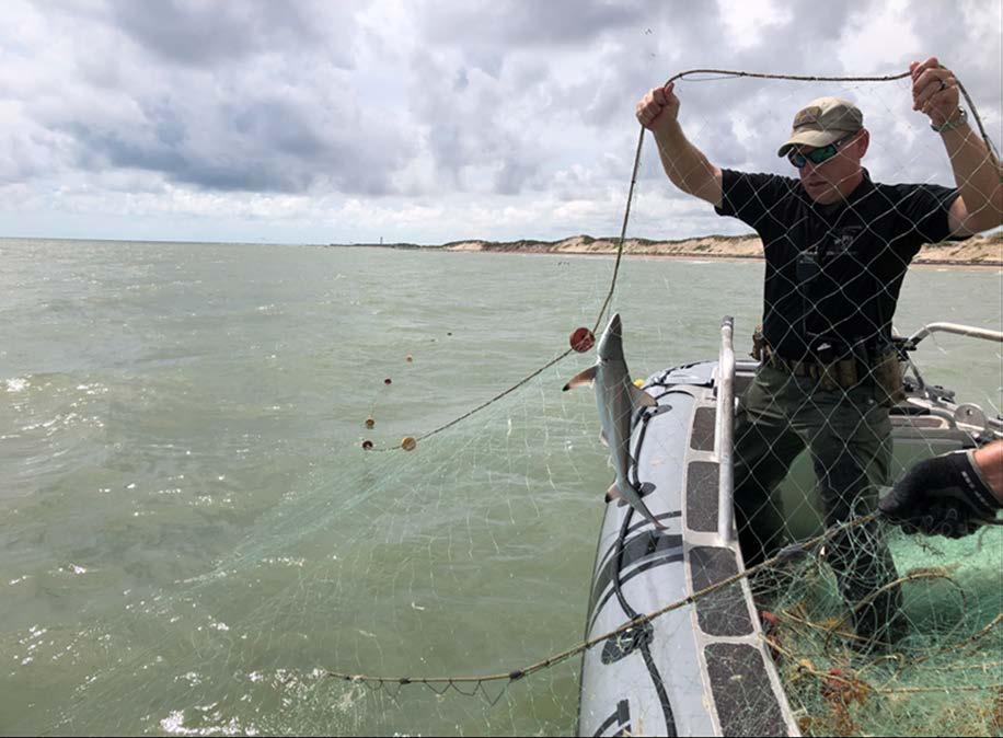 Gill Net 9-19-18 USCG Station SPI alerted MTOG members of possible illegal gill net in the Gulf of Mexico.