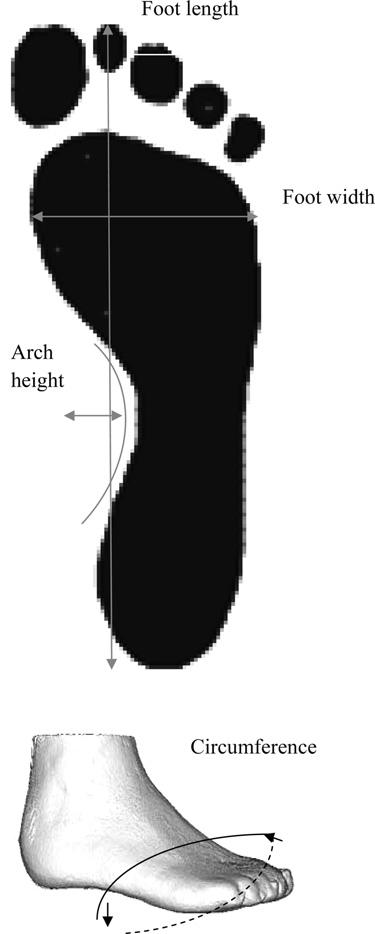 there is anecdotal evidence of limited width availability for army boots; collection of boot size data was to allow comparison with data for foot length to assess whether soldiers were wearing