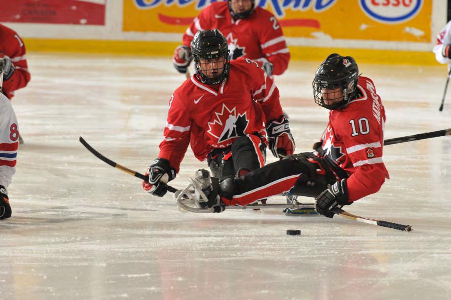 ABOUT THIS RESOURCE This manual is designed to serve as a guideline for sledge hockey players and coaches who are striving to take their game to the next level.