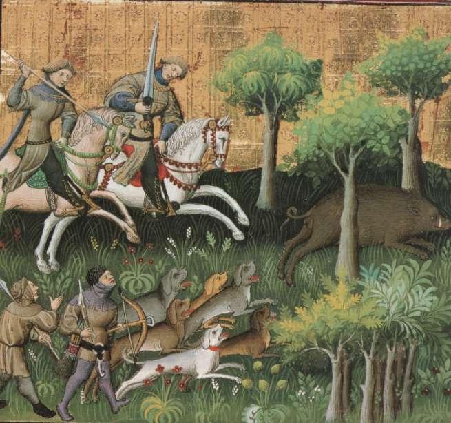 Boars were hunted with spears or