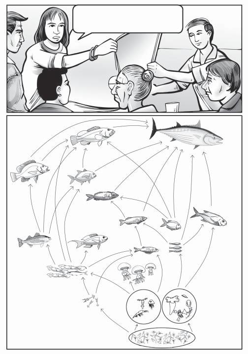 MOSTLY, MARINE ORGANISMS ARE INTER-CONNECTED THROUGH FOOD WEBS IN COMPLEX WHO-EATS-WHO RELATIONSHIPS.