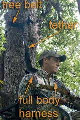 Tree Stand Safety When hunting in a tree stand you