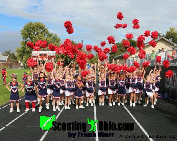The Austintown Little Falcons are dedicated to teaching our youth, fundamentals and proper techniques of football and cheer.