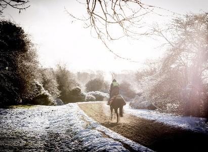 miles of peat gallops and eight all-weather tracks available to