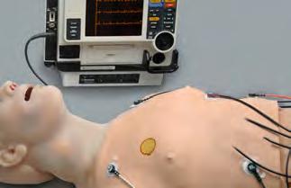 Compressor Allows for the Continuous Operation of Chest Rise and Pulses Includes Control PC CPR