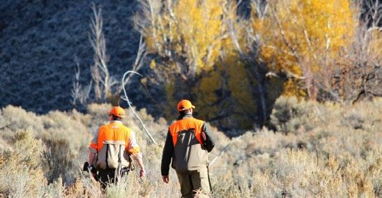 Fly fishing Archery and sporting clays Bird hunting Lessons for all ages
