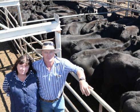 the Atkinsons have a herd of performance Droughtmasters and came to us in 2012 after looking at a number of different Angus operations with the aim of breeding a droughtmaster/angus animal that would