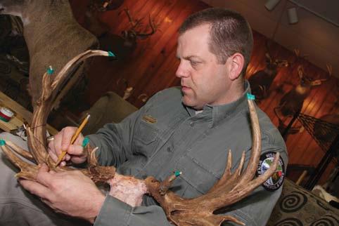 The 2011-2012 hunting season was greatly improved over the last 2 previous seasons with regard to the number and overall size of trophy bucks harvested. In fact, some outstanding bucks were taken.