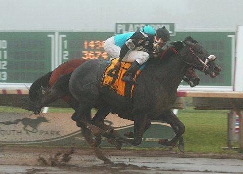 She followed that up at Monmouth Park, where she won the $200,000 NATC Futurity Stakes.