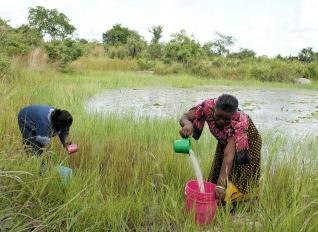 Sun Biofuels a Tanzania (trosolwg) Roedd cwmni o r DU o r enw Sun Biofuels am brynu 8,000 hectar o dir mewn rhan o Tanzania o r enw Kisaware.