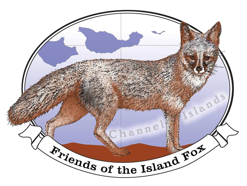 Friends of the Island Fox a Program of the Channel Islands Park Foundation, a 501 (c) (3) public benefit org. 1901 Spinnaker Drive, Ventura CA 93001 (805) 288-4123 or admin@islandfox.
