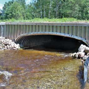 brook trout tributary in the Pere Marquette Watershed. Perched and undersized culverts were replaced with 16 wide bottomless arches.
